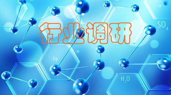 新材料 聚焦“小而精”，調研洞察化工原料需求，網絡技術研究賦能產業(yè)創(chuàng)新